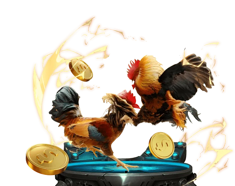 Sân chơi đá gà trực tuyến uy tín tại Win2026